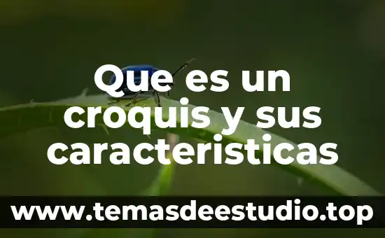 Qué es un croquis y para qué sirve significado 7 Que es un croquis y sus caracteristicas
