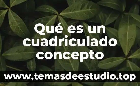 Qué es un cuadriculado concepto