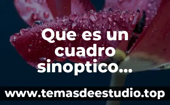 Que es la libertad para mi cuadro sinoptico 8 Que es un cuadro sinoptico primaria