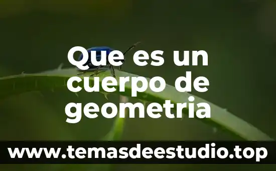 Que es geometria del diseño 3 Que es un cuerpo de geometria