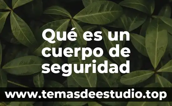 Que es cordao capoeira significado 3 Qué es un cuerpo de seguridad
