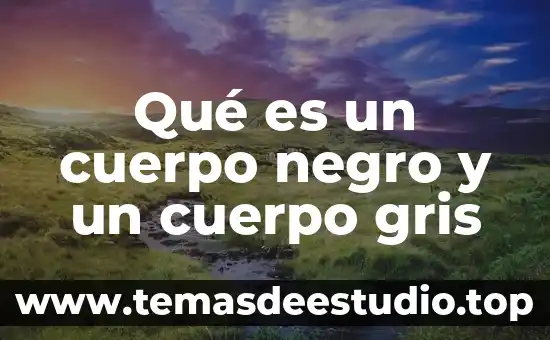 Que es mejor refrigeradores color negro o gris 4 Qué es un cuerpo negro y un cuerpo gris