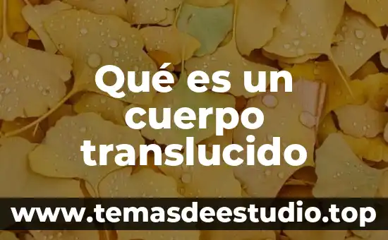 Que es ser buena o mala persona 8 Qu茅 es un cuerpo translucido