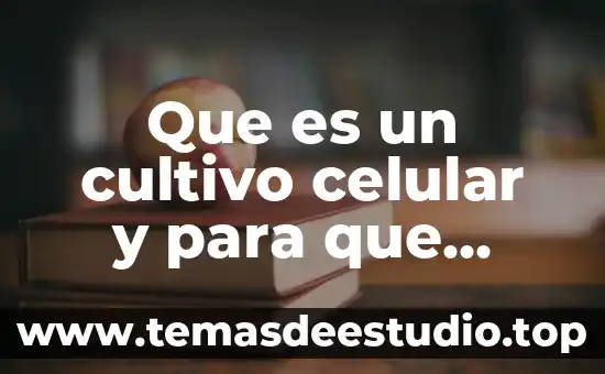 Que es la cultura y cultivo 6 Que es un cultivo celular y para que sirve