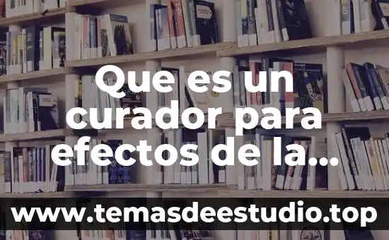 En una exposición de arte que es un curador 5 Que es un curador para efectos de la tutela