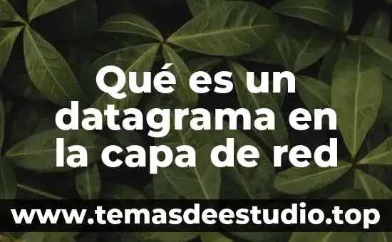 Qué es un datagrama en la capa de red