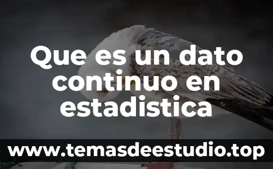 Qué es hipótesis alternativa en probabilidad y estadística 4 Que es un dato continuo en estadistica