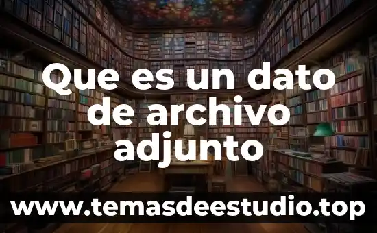 Que es un archivo con nombre z 5 Que es un dato de archivo adjunto