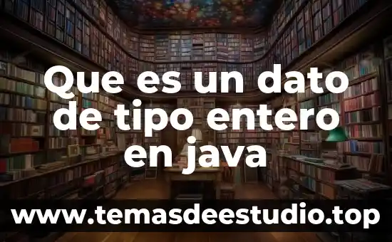 Que es marcha tipo ganges 4 Que es un dato de tipo entero en java