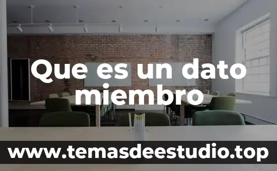 Que es metodo miembro 6 Que es un dato miembro