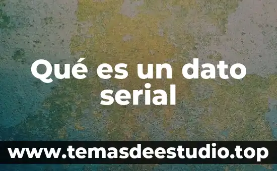 Qué es un dato serial