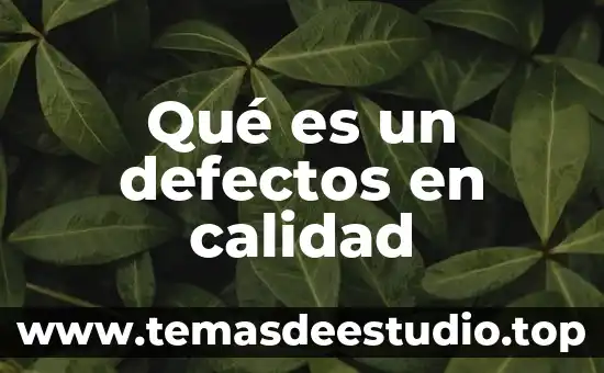 Qué es un defectos en calidad