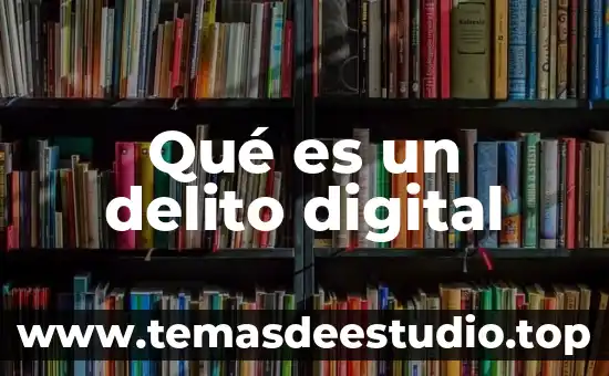 Qué es un delito digital