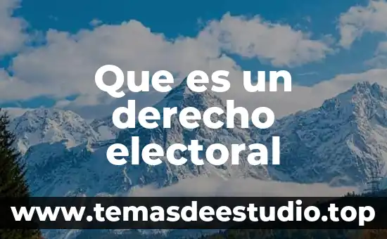 Que es un derecho electoral