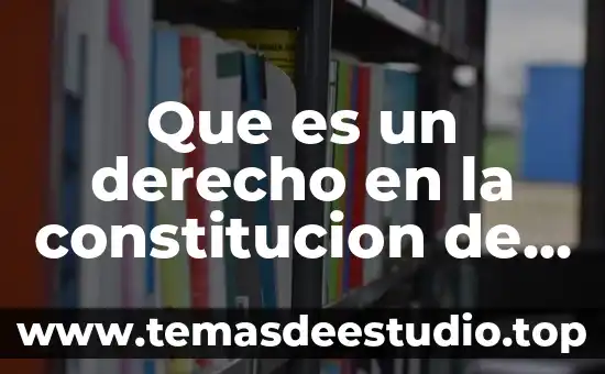 Que es un derecho en la constitucion de mexico