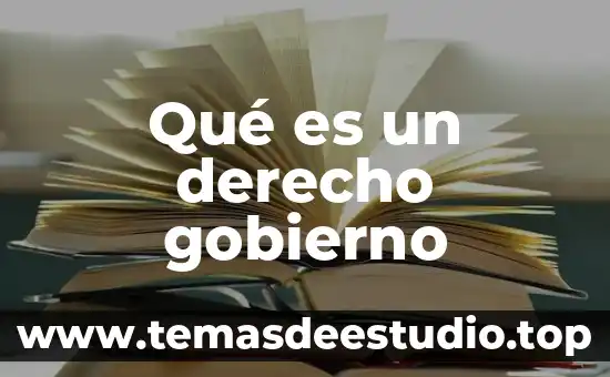 Qué es un derecho gobierno