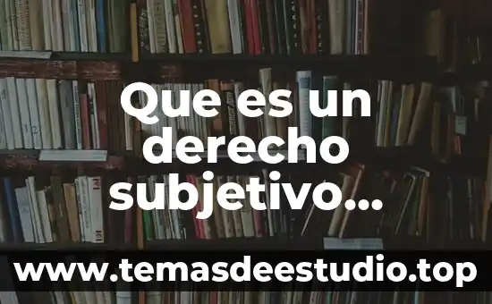 Que es ser no subjetivo 8 Que es un derecho subjetivo materia civil
