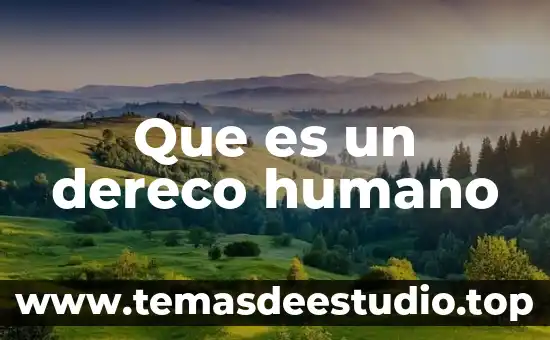 Que es un dereco humano