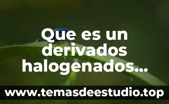 Qué es un número general 3 Que es un derivados halogenados formula general y tres ejemplos