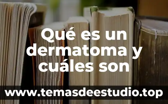 Que es el estoisismo griego y cuales son sus características 7 Qué es un dermatoma y cuáles son