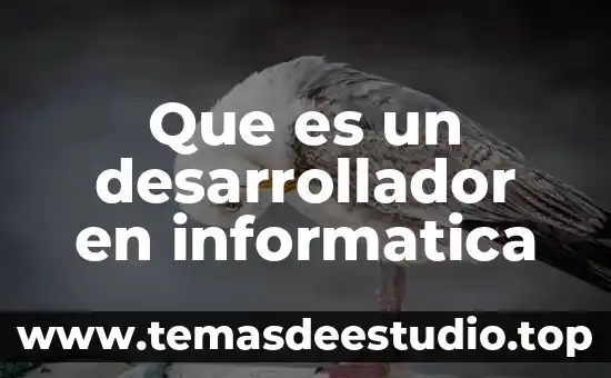 Que es un desarrollador en informatica