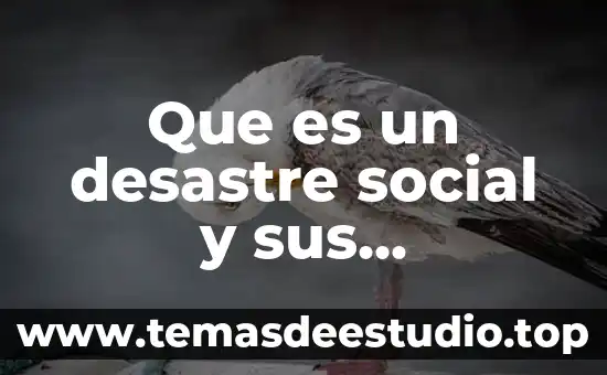 Que es un desastre social y sus caracteristicas