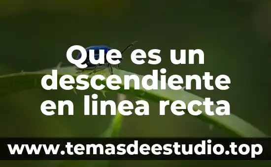 Qué es la recta normal de una función 5 Que es un descendiente en linea recta