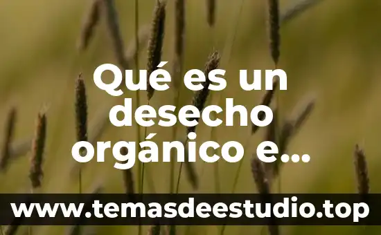 Que es un ser inorganico 4 Qué es un desecho orgánico e inorgánico