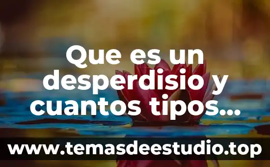 Que es un desperdisio y cuantos tipos son