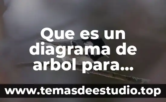 ¿Qué es un árbol en teoría de grafos? 8 Que es un diagrama de arbol para niños de primaria