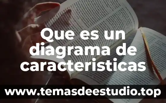 Que es diagrama de arquitectura de procesos 8 Que es un diagrama de caracteristicas