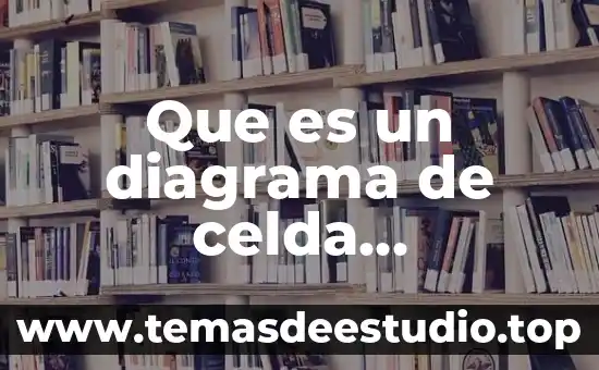 En excel que es una celda activa 4 Que es un diagrama de celda electroquimica