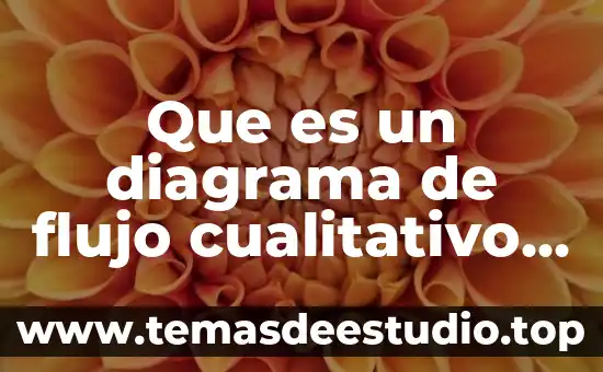 Qué es el proceso cualitativo de la investigación 6 Que es un diagrama de flujo cualitativo definición