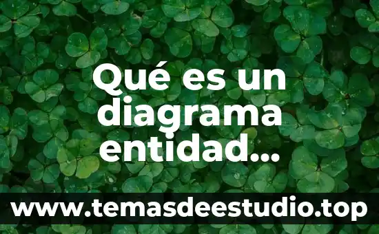 Que es ordenar datos en access 7 Qué es un diagrama entidad relación en Access Aulaclic