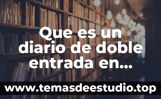 Que es registro diario 3 Que es un diario de doble entrada en informática