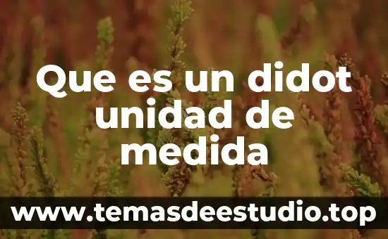 Que es un didot unidad de medida