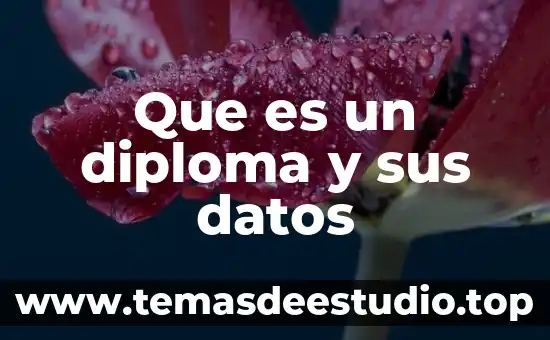 Qué es un esquema de diseño de base de datos 3 Que es un diploma y sus datos
