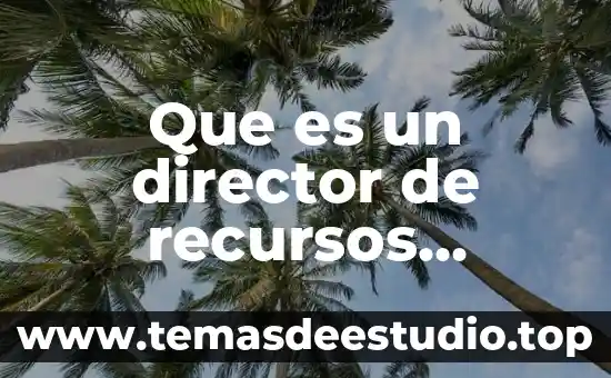 Por que es importante tener habilidades para ser director 7 Que es un director de recursos humanos