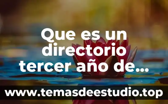 Que es el nombre de año en una carta 5 Que es un directorio tercer año de primaria de español
