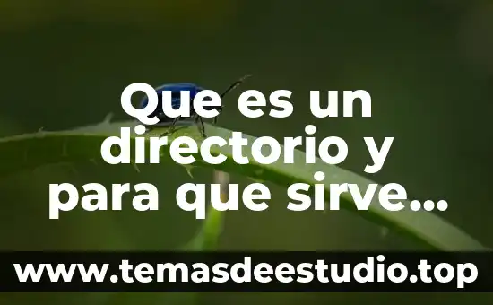 Que es activesync y para que sirve 5 Que es un directorio y para que sirve significado