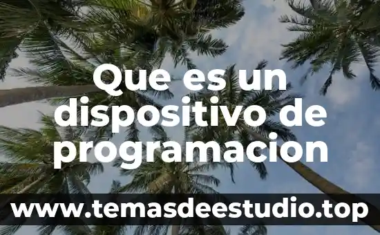 Programación en C que es devolver un parámetro 5 Que es un dispositivo de programacion