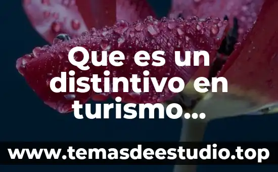 Que es un distintivo en turismo definicion