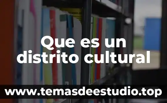 Que es un distrito cultural
