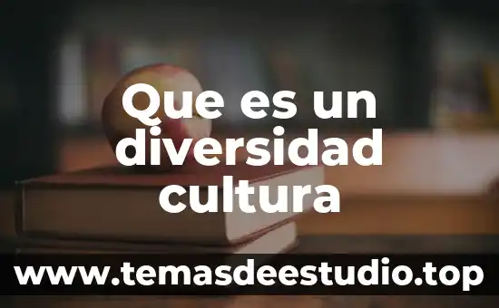 Que es la cultura como ambiente 5 Que es un diversidad cultura