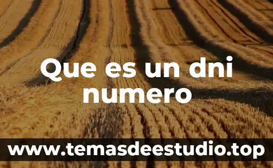 Qué es el número de la factura 8 Que es un dni numero