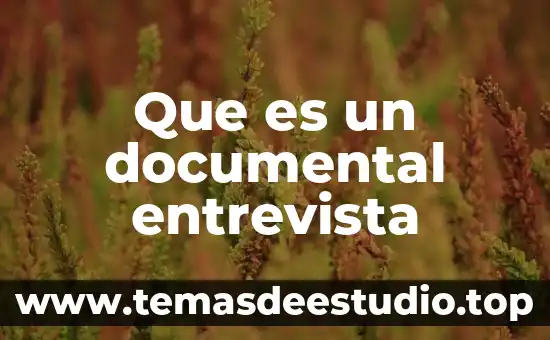 Que es un documental entrevista