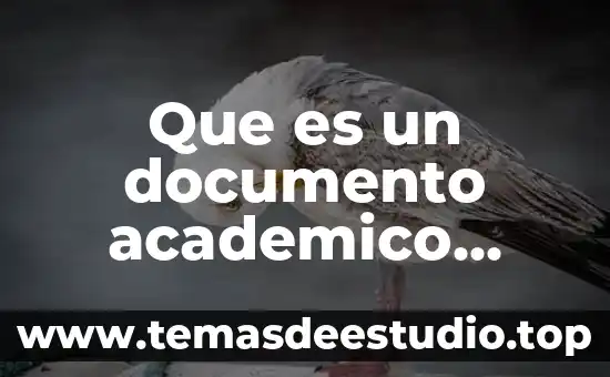 Que es un documento academico segun autores
