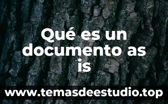 Que es mz0 documento comercio 3 Qué es un documento as is