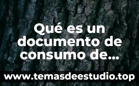 Que es servicios al terminal 5 Qué es un documento de consumo de servicios