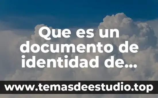 Para que es vista documento 3 Que es un documento de identidad de irene diaz